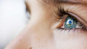 Eye Doctor in Holly Hill