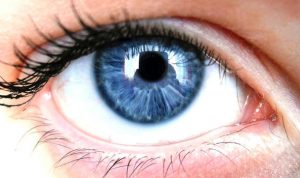Eye Doctor in Mims