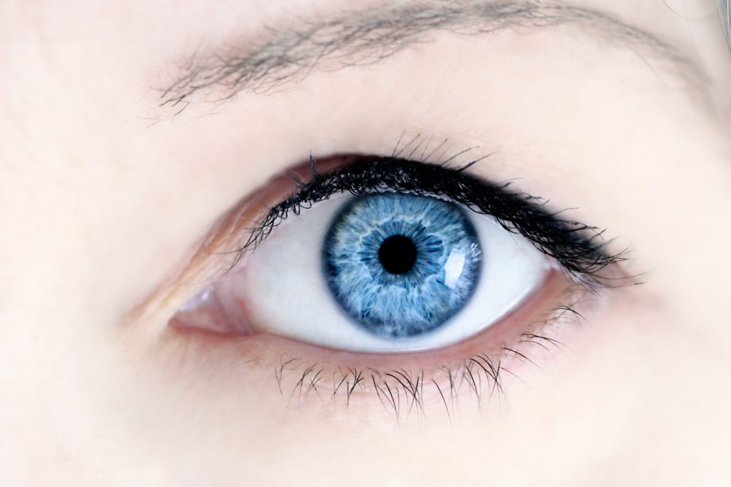 Eye Doctor in Daytona Beach